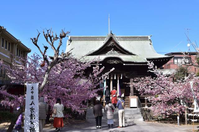 古式神道桜神宮